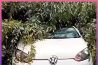RESISTENCIA: Árbol Cayó Sobre Un Auto Durante El Fuerte Temporal