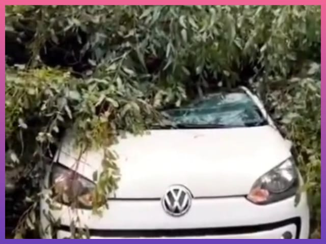 RESISTENCIA: Árbol Cayó Sobre Un Auto Durante El Fuerte Temporal