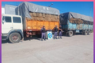 CHARADAI: Secuestran Más De 7 Toneladas De Semilla Y Fardos De Alfalfa Por Falta De Documentación | Último momento en Chaco