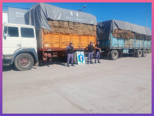 CHARADAI: Secuestran Más De 7 Toneladas De Semilla Y Fardos De Alfalfa Por Falta De Documentación | Último momento en Chaco
