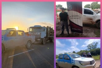 CASTELLI: Secuestran Armas Y Madera En Operativos Rurales En General Güemes | Último momento en Chaco