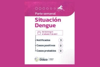 Chaco Sin Casos De Dengue: Salud Insiste En Las Acciones De Prevención