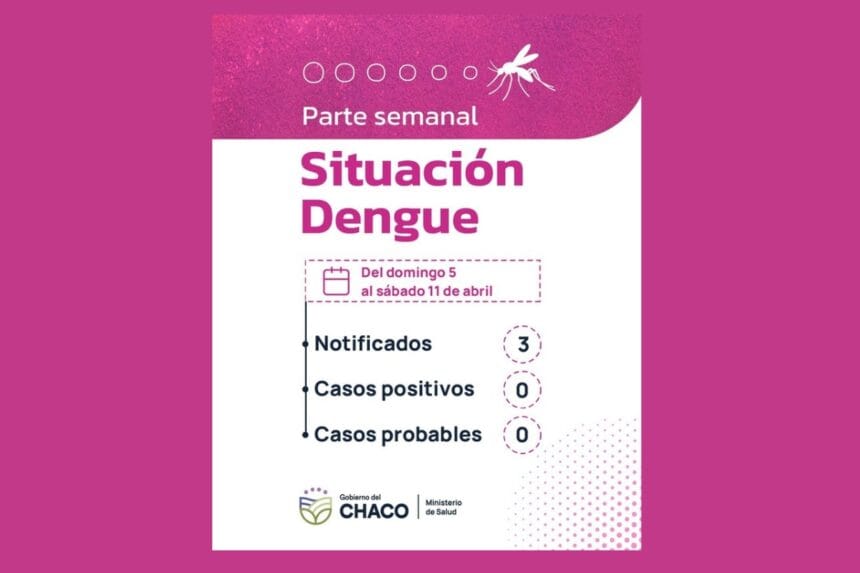 Chaco Sin Casos De Dengue: Salud Insiste En Las Acciones De Prevención Chaco Sin Casos De Dengue: Salud Insiste En Las Acciones De Prevención