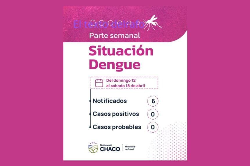Chaco Sin Dengue: Salud Insiste En Reforzar La Prevención, Ante Las últimas Lluvias