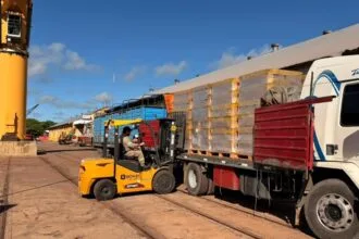 El Puerto De Barranqueras Consolida Su Actividad Con Nuevos Envíos De Semillas De Girasol