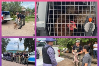RESISTENCIA: Rescataron Animales Y Secuestraron Mascotas En Un Allanamiento Por Maltrato Animal