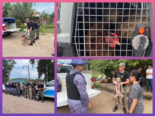 RESISTENCIA: Rescataron Animales Y Secuestraron Mascotas En Un Allanamiento Por Maltrato Animal RESISTENCIA: Rescataron Animales Y Secuestraron Mascotas En Un Allanamiento Por Maltrato Animal