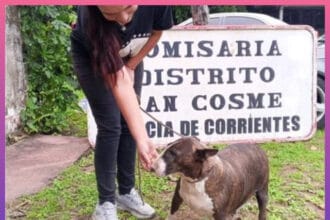 CORRIENTES: Recuperaron Una Perrita Perdida Gracias A La Solidaridad De Una Vecina