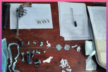 RESISTENCIA: Allanamiento Por Robo Terminó Con Una Detenida Y Con El Secuestro De Cocaína