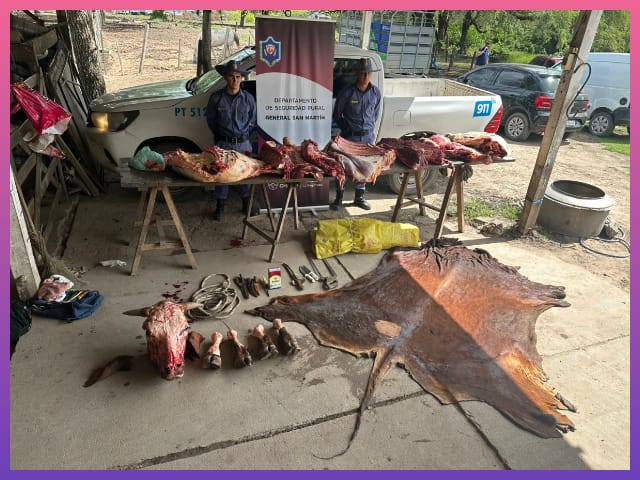 CHACO: Secuestraron Más De 200 Kilos De Carne No Apta Para El Consumo