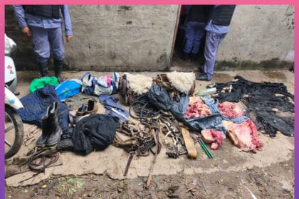 CHACO: Dos Detenidas Por Supuesto Abigeato