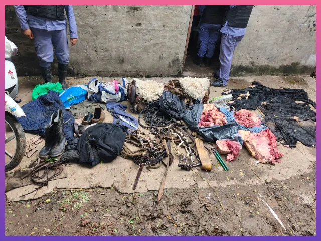 CHACO: Dos Detenidas Por Supuesto Abigeato CHACO: Dos Detenidas Por Supuesto Abigeato