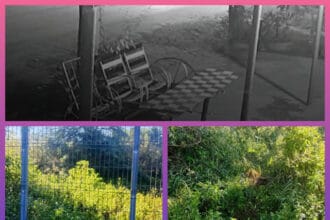 PINEDO: Un Hombre Cayó A Un Pozo Cuando Entró A Un Terreno A Orinar