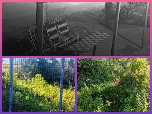 PINEDO: Un Hombre Cayó A Un Pozo Cuando Entró A Un Terreno A Orinar