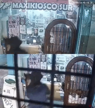 Video: robaron un kiosco montados a caballo en Miramar