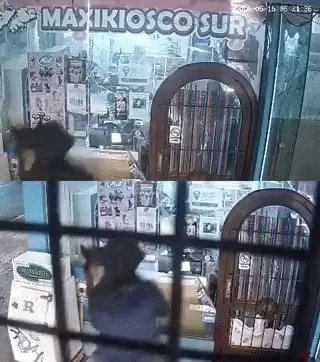 Video: robaron un kiosco montados a caballo en Miramar