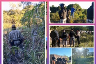 CHACO: Finalizó Operativo De Búsqueda En Fontana: Mañana Seguirán Los Rastrillajes | Último momento en Chaco