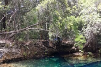 Más allá del all inclusive: la reserva con iguanas y cenotes que es la joya ecológica de Punta Cana