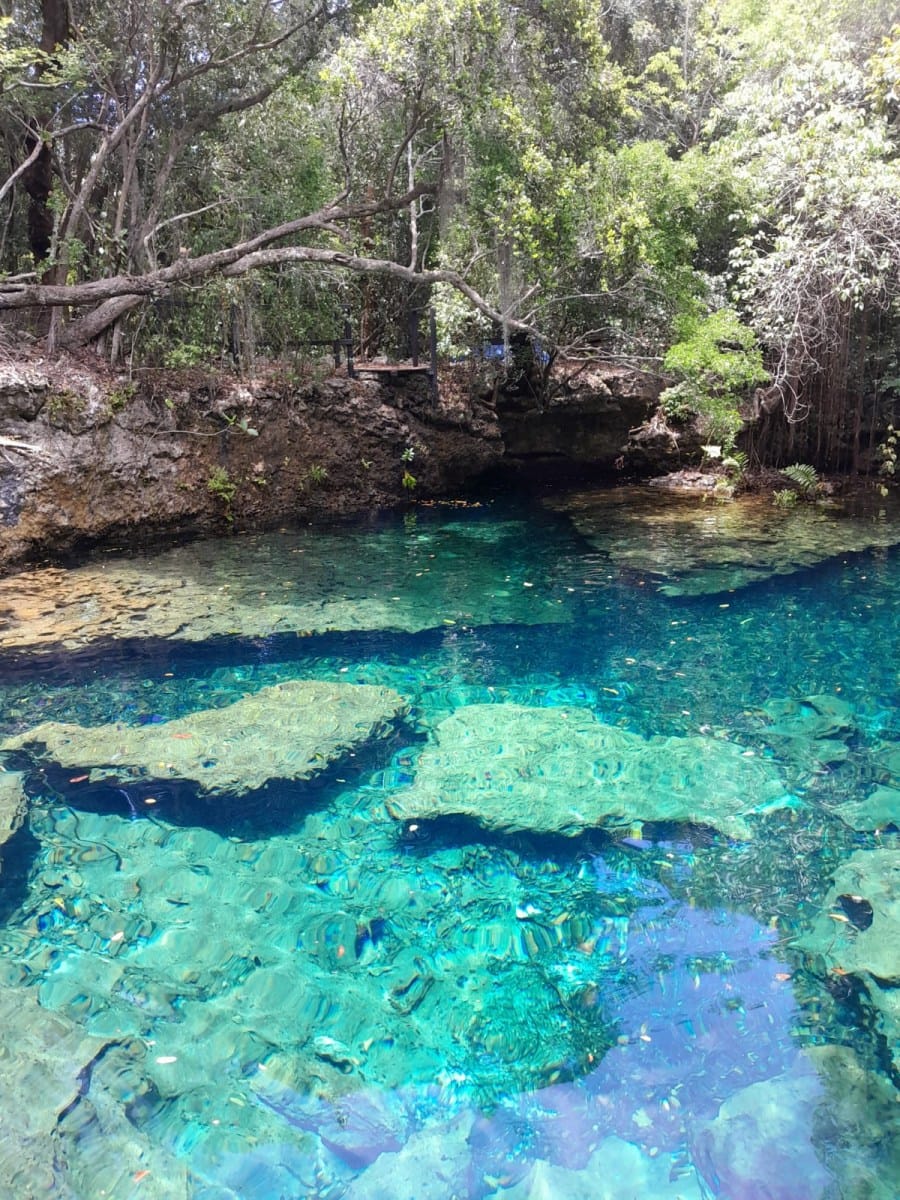 Más allá del all inclusive: la reserva con iguanas y cenotes que es la joya ecológica de Punta Cana