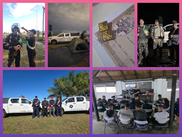 CHACO: Bomberos Se Capacitaron En Búsqueda Y Localización De Explosivos Bajo Estándares Internacionales | Último momento en Chaco