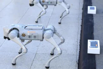 Mundial 2026: México incorporará perros robot para reforzar la seguridad