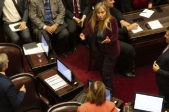 Revés para Milei: el Senado aprobó los pliegos de Michelli, la cuñada de un periodista