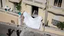 Las cámaras de seguridad captaron a una mujer dejando el explosivo en el edificio donde reside Vadim Emolaev. 