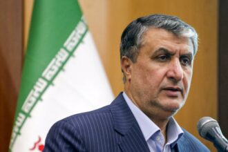 Cumbre del OIEA: Irán denunció a EEUU y Austria por impedir la participación de su jefe nuclear