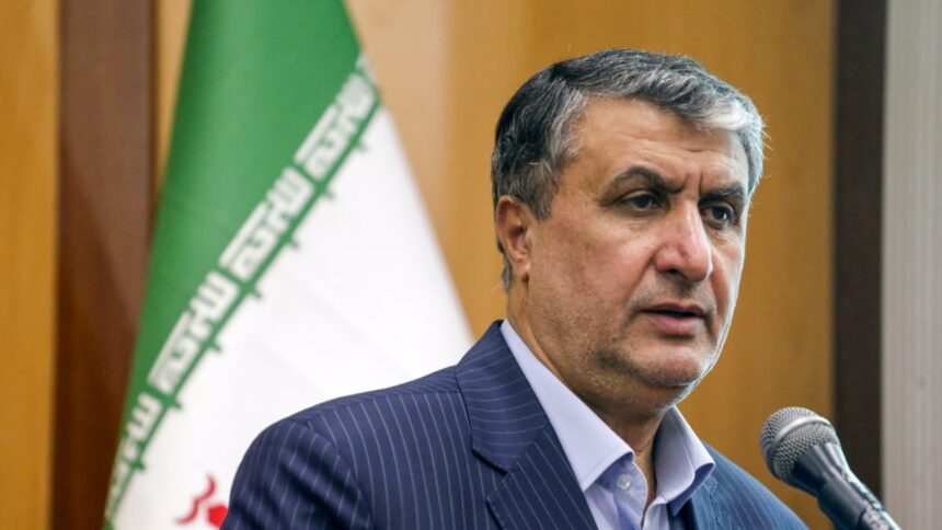 Cumbre del OIEA: Irán denunció a EEUU y Austria por impedir la participación de su jefe nuclear