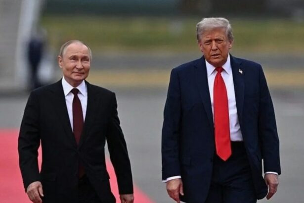 Donald Trump anunció un acuerdo con Vladímir Putin para recibir diésel ruso y bajar los precios