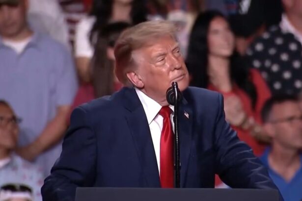 Donald Trump celebró el avance de la derecha en Sudamérica antes del balotaje en Brasil